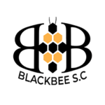 Blackbee S